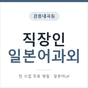 강릉내곡동 직장인일본어과외 안내 이미지 — 일본어UP 1:1 맞춤 수업, 첫 수업 무료 체험