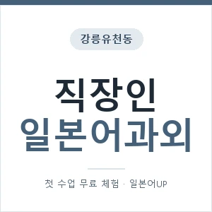 강릉유천동 직장인일본어과외 안내 이미지 — 일본어UP 1:1 맞춤 수업, 첫 수업 무료 체험