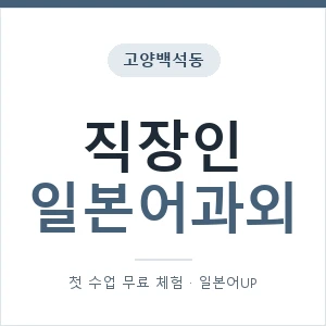 고양백석동 직장인일본어과외 안내 이미지 — 일본어UP 1:1 맞춤 수업, 첫 수업 무료 체험