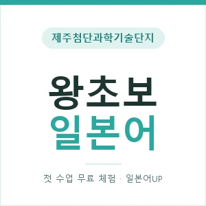 제주첨단과학기술단지 왕초보일본어 안내 이미지 — 일본어UP 1:1 맞춤 수업, 첫 수업 무료 체험