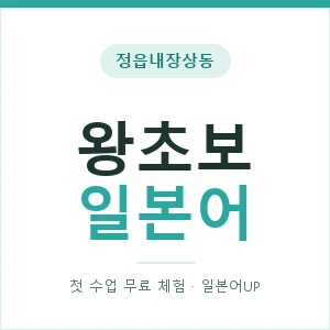 정읍내장상동 왕초보일본어 안내 이미지 — 일본어UP 1:1 맞춤 수업, 첫 수업 무료 체험