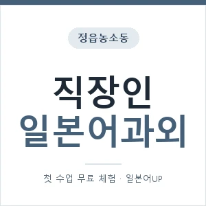정읍농소동 직장인일본어과외 안내 이미지 — 일본어UP 1:1 맞춤 수업, 첫 수업 무료 체험