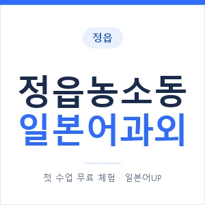 정읍농소동 일본어과외 안내 이미지 — 일본어UP 1:1 맞춤 수업