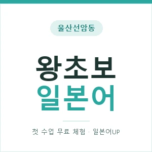 울산선암동 왕초보일본어 안내 이미지 — 일본어UP 1:1 맞춤 수업, 첫 수업 무료 체험