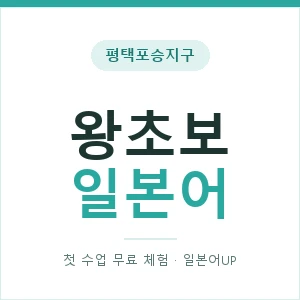 평택포승지구 왕초보일본어 안내 이미지 — 일본어UP 1:1 맞춤 수업, 첫 수업 무료 체험