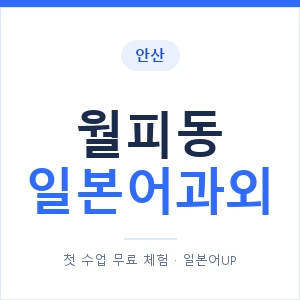 월피동 일본어과외 안내 이미지 — 일본어UP 1:1 맞춤 수업
