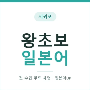 서귀포 왕초보일본어 안내 이미지 — 일본어UP 1:1 맞춤 수업, 첫 수업 무료 체험