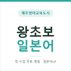 제주영어교육도시 왕초보일본어 안내 이미지 — 일본어UP 1:1 맞춤 수업, 첫 수업 무료 체험