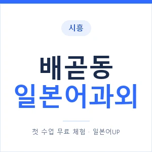 배곧동 일본어과외 안내 이미지 — 일본어UP 1:1 맞춤 수업