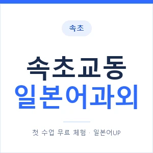 속초교동 일본어과외 안내 이미지 — 일본어UP 1:1 맞춤 수업
