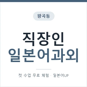 왕곡동 직장인일본어과외 안내 이미지 — 일본어UP 1:1 맞춤 수업, 첫 수업 무료 체험