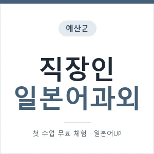 예산군 직장인일본어과외 안내 이미지 — 일본어UP 1:1 맞춤 수업, 첫 수업 무료 체험